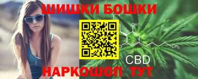 apvp Можга