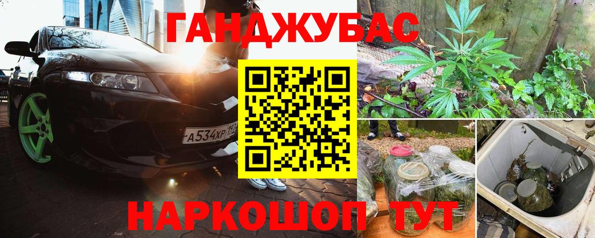 Бошки Шишки план Тобольск